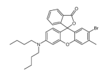 JYDR-8.png