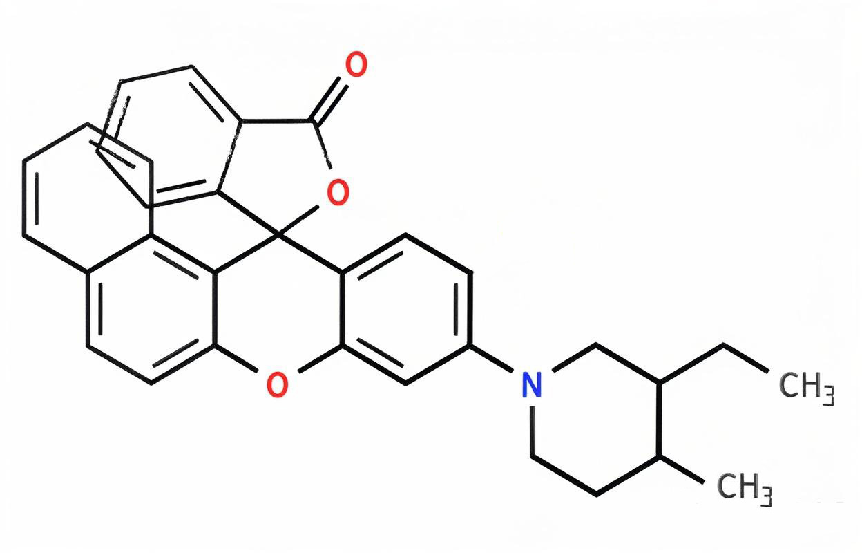 分子式.jpg